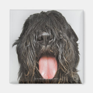 Studio shot magnet