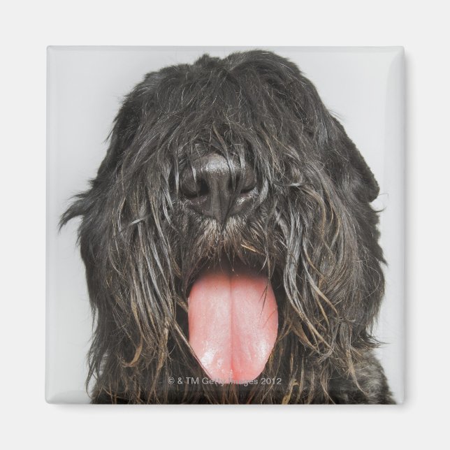 Studio shot magnet (Front)