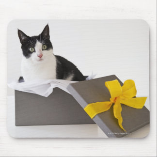 Studio shot of black and white cat in gift box mouse pad