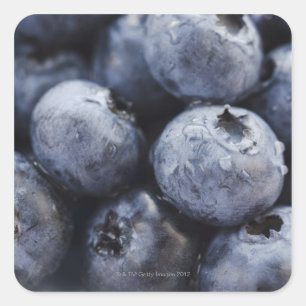 Studio shot of blueberries 3 square sticker
