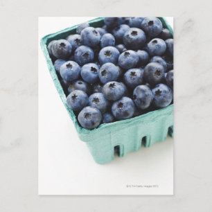 Studio shot of blueberries postcard