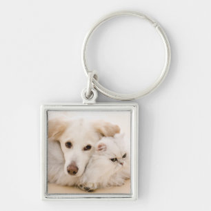 Studio shot of cat and dog keychain