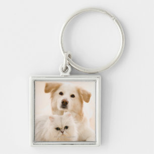 Studio shot of cat and dog keychain