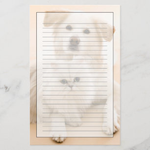 Studio shot of cat and dog stationery