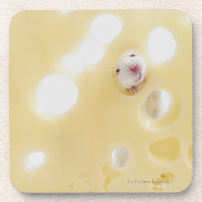 Studio shot of white mouse looking through hole coaster (Front)