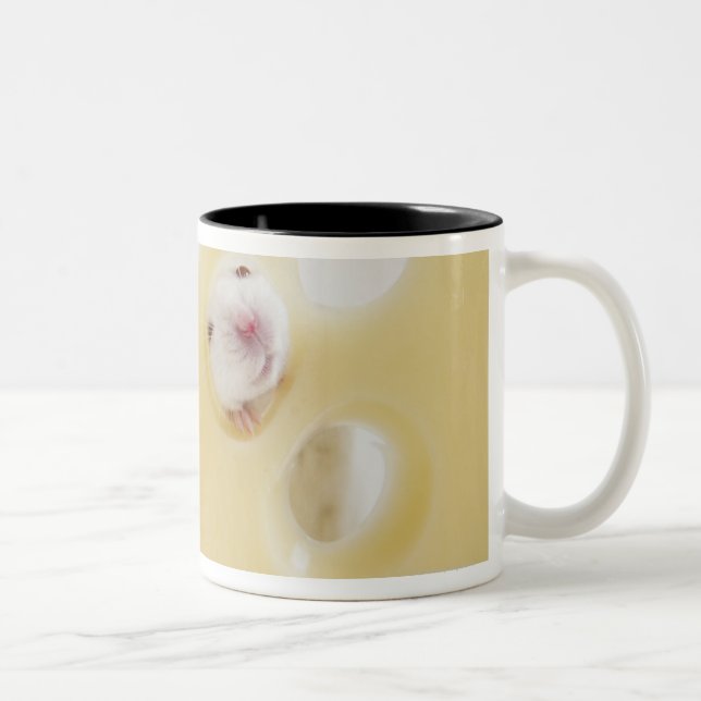 Studio shot of white mouse looking through hole Two-Tone coffee mug (Right)
