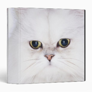 Studio shot of white Persian cat Binder
