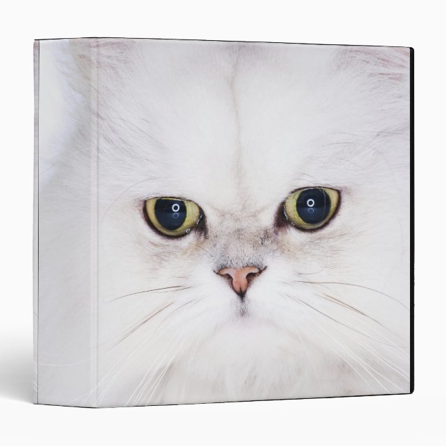 Studio shot of white Persian cat Binder (Front/Spine)