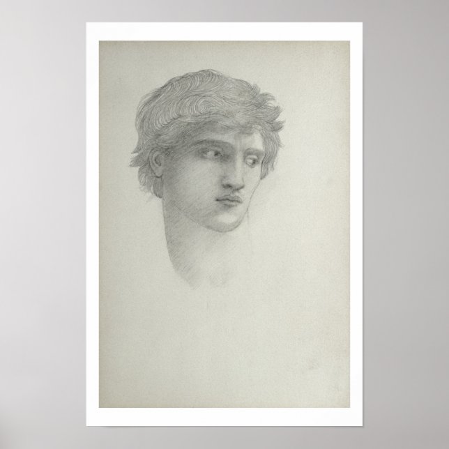 Study for the Head of Perseus (pencil on paper) Poster (Front)