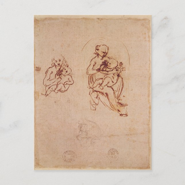 Study for the Virgin and Child, c.1478-1480 Postcard (Front)
