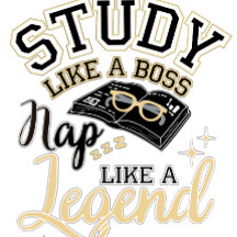 Study Like a Boss, Nap Like a Legend, College gift