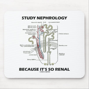 Study Nephrology Because It's So Renal Nephron Mouse Pad