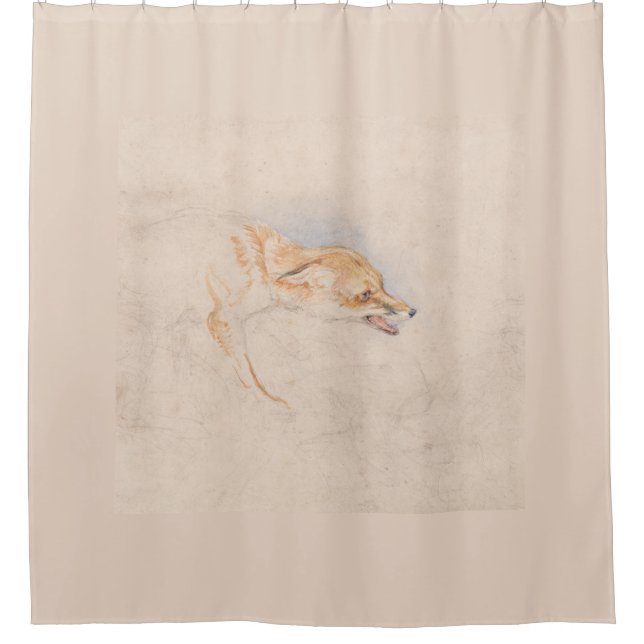 Study of a Crouching Fox (by John Frederick Lewis) (Front)