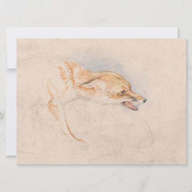 Study of a Crouching Fox (by John Frederick Lewis) Card (Front)
