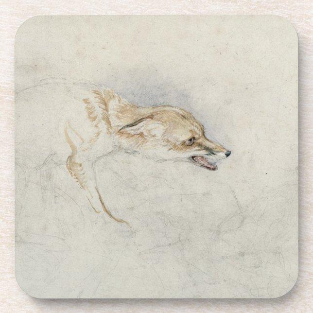 Study of a crouching Fox, facing right verso: fain Coaster (Front)