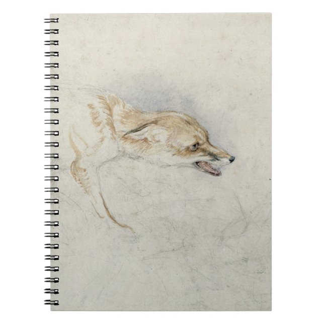 Study of a crouching Fox, facing right verso: fain Notebook (Front)