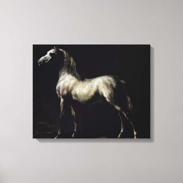 Study of a Dapple Grey Canvas Print (Front)