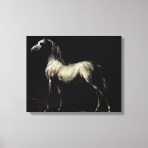 Study of a Dapple Grey Canvas Print