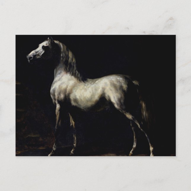 Study of a Dapple Grey Postcard (Front)