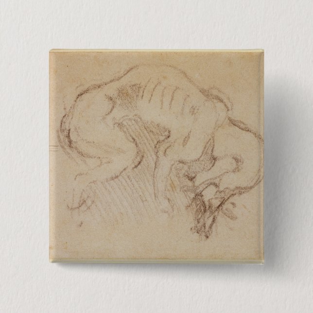 Study of a dog 2 inch square button (Front)