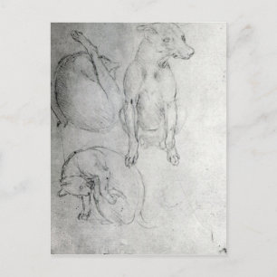 Study of a dog and a cat, c.1480 postcard