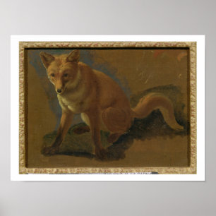 Study of a Fox (oil on panel) Poster