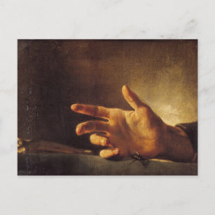 Study of a Hand Postcard