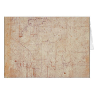 Study of a Head, 1525-26