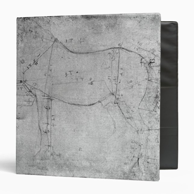 Study of a Horse Binder (Front/Inside)
