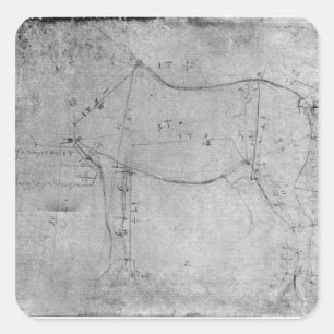 Study of a Horse Square Sticker