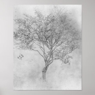 Study of a Lemon Tree - 1859 - Poster