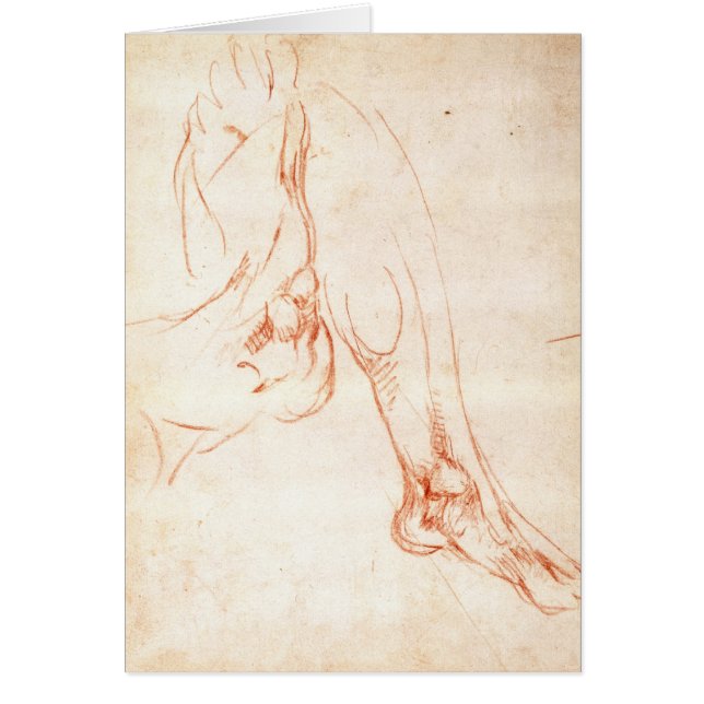 Study of a lower leg and foot (Front)