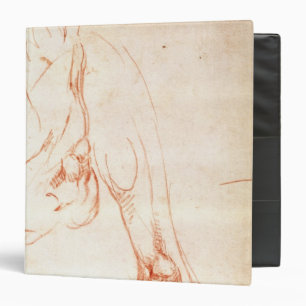 Study of a lower leg and foot binder