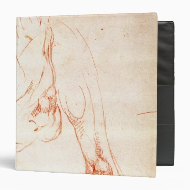 Study of a lower leg and foot binder (Front/Inside)