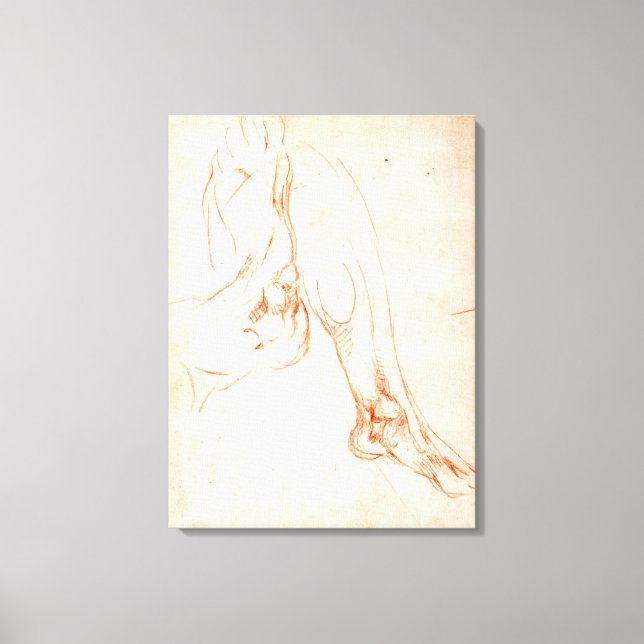 Study of a lower leg and foot canvas print (Front)