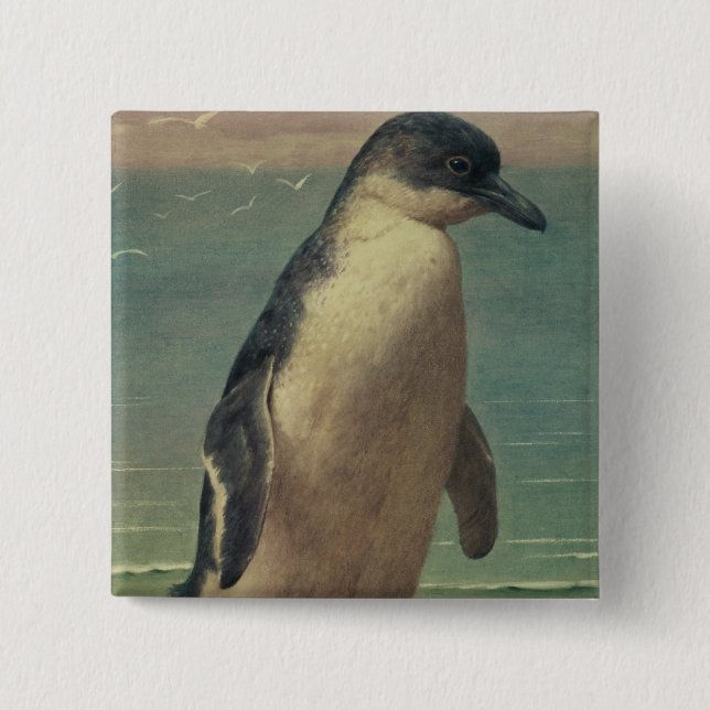 Study of a Penguin 2 Inch Square Button (Front)