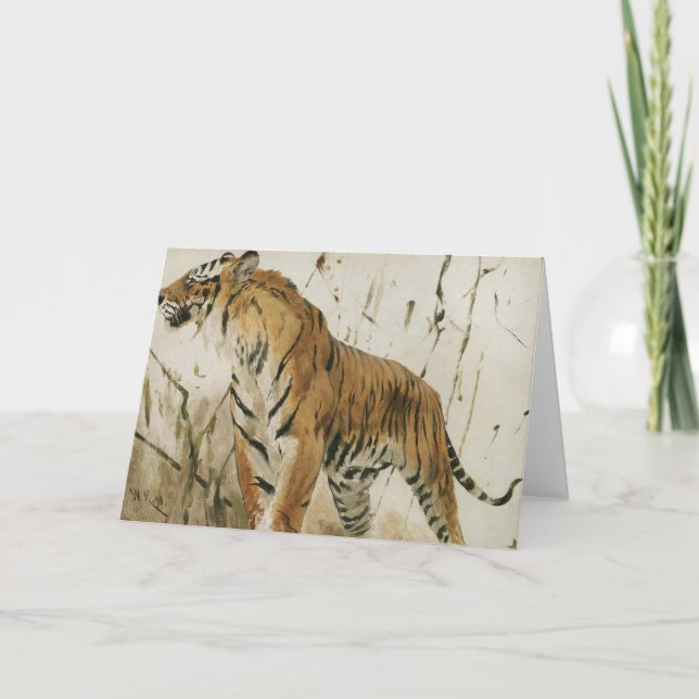 Study of a Tiger | Wilhelm Kuhnert Card (Front)