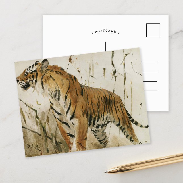 Study of a Tiger | Wilhelm Kuhnert Postcard (Creator Uploaded)