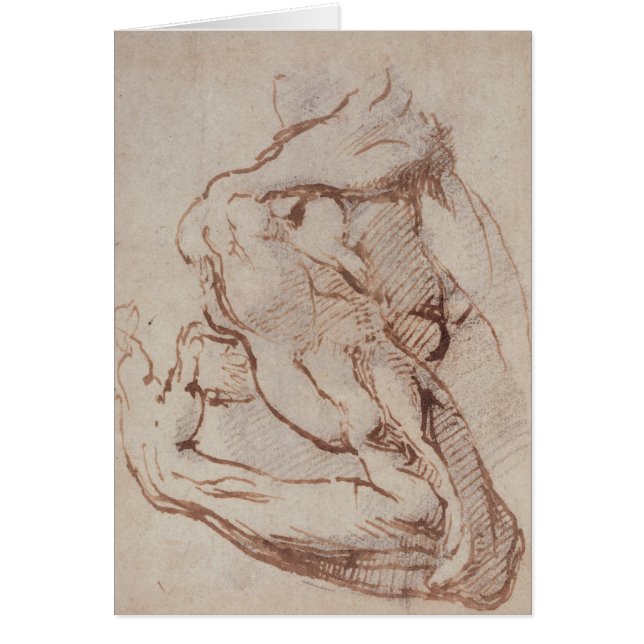 Study of an Arm  Inv.1859/5/14/819 (Front)