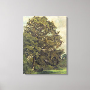 Study of an Ash Tree, c.1851 (oil on paper on pane Canvas Print