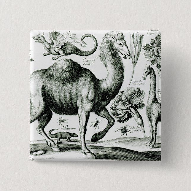 Study of Animals and Flowers, engraved 2 Inch Square Button (Front)