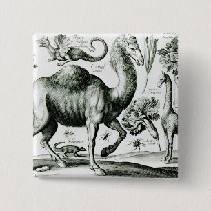 Study of Animals and Flowers, engraved 2 Inch Square Button