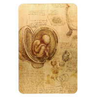 Study of baby fetus by Leonardo da Vinci