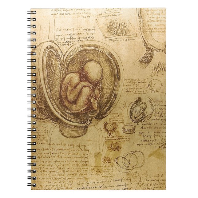 Study of baby fetus by Leonardo da Vinci Notebook (Front)