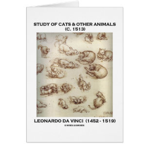 Study Of Cats & Other Animals (Leonardo da Vinci)