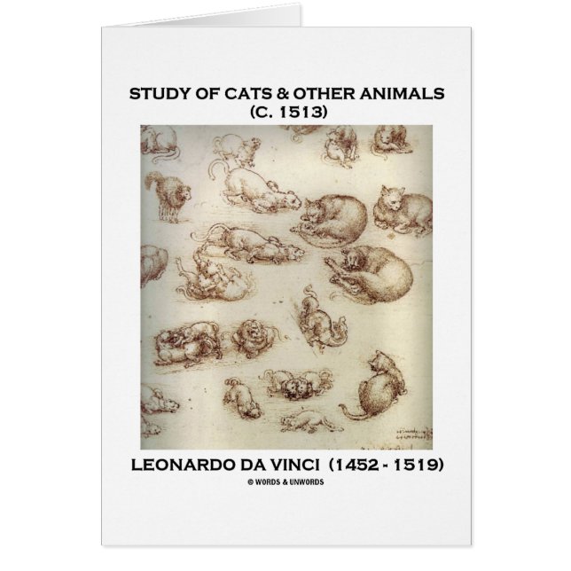 Study Of Cats & Other Animals (Leonardo da Vinci) (Front)