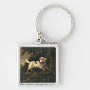 Study of Clumber Spaniel Keychain