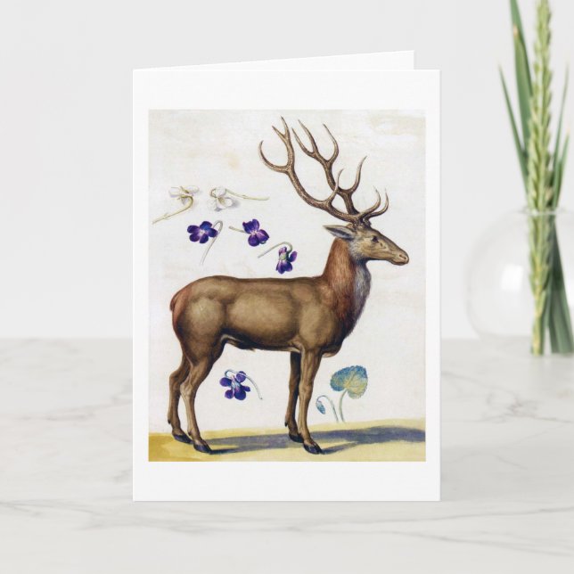 Study of Deer and Flower, Arcimboldo Card (Front)
