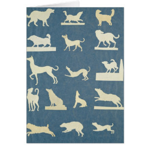 Study of Dogs