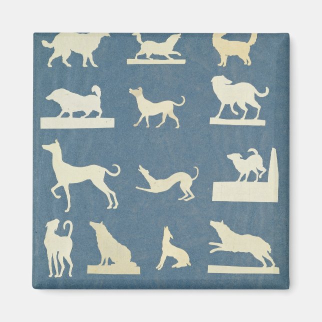 Study of Dogs Magnet (Front)
